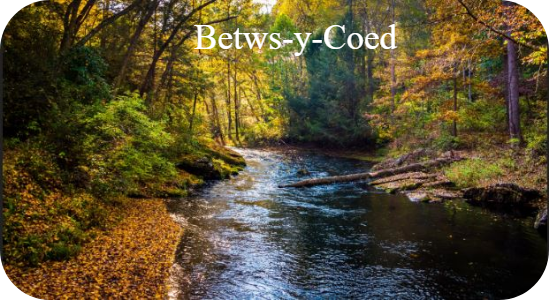 Betws-y-Coed Walks and Activities